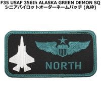 ���������ɽ��͡���/F35 USAF 356th ALASKA GREEN DEMON SQ ���� w/hook <br>�ڥ��������ᥤ�� �ۥ��饹�� �ߥ꥿�꡼ ���Х��Х륲���� ���Х� �����ץ� ������ BDU ���㥱�å� ��Ʈ�� ��åڥ� �٥륯�� ���Ĵ��� �ż�Ǽ F35 ��Ʈ�� ALASKA 