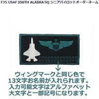 実物 ミリタリー　ネームテープ　us airforce /maxwell 米軍実物未使用品 アメリカ空軍 ネームテープ パッチ サブデュード 5枚