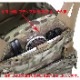 Warrior Assault Systems �����ץ��ե����� ����ꥢ V2<br>�ڥ������ꥢ��������ȥ����ƥ� LOW PROFILE CARRIER V2�ۥߥ꥿�꡼ ���Х��Х륲���� ���Х� ��ʪ ���� WAS �����ꥹ �ޥ������ multicam �ü����� SEAL �����륺