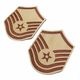 USAF RANK PATCH Master Sergeant TAN �٥륯���ʤ� 2��SET�ڥ���ꥫ���� �ޥ��������������� �����åڥ�ۥߥ꥿�꡼ ���Х��Х륲���� ���Х� �����ȥɥ� BDU ��Ʈ�� ���� ���� ���� �º� �����ץ� USAF ARMY �ե饤�� MA1 45�� 36�� yokota ���Ĵ��� ͢�� ����