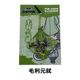 ���BASARA �ԥ󥸥�å����꡼�ʡ�<br>��Sengoku�Х��� PIN JACK CLEANER�� ��� �����奢�� �ߥ꥿�꡼ ���ץ��� ������ ���Х��� ���꡼�ʡ� ���ޥ� ���� CAPCOM ���ץ���
