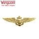 VanguardU.S. Aviator Pin Badge NAVY <br>ڥ󥬡 U.S. ӥХå1Хå  ߥ꥿꡼ 奢 Х  ꡼ ץ USAF USMC ARMY USN   ʼ ѥå Ҷ Ʈ topgun ȥåץ ȥ७å ȥ९롼 F14 F18