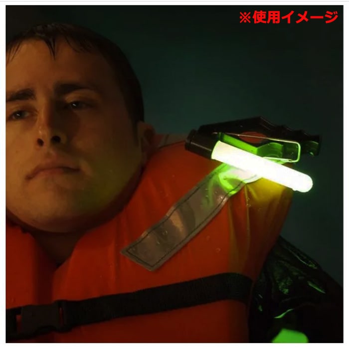 CYALUME PML �ڥ����ꥦ�ࡡPML �ѡ����ʥ�ޡ������饤�ȡۡ���ʪ������ �� �л� �����ȥɥ� ������ CAMP �� ���Х��Х� ��߷����� �������ȥ�����