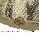 ALTAMA �ޥ꥿���ॢ����� OTB �������åȥ��ˡ����� / MULTICAM<br>�ڥ��륿�� maritime assault lowcut sneakers �ޥ������ۥ�� �ߥ꥿�꡼ �����ȥɥ� �����奢�� �� ���塼�� �º� ���� �ü����� �ͥ��ӡ� �����륺 crye precision OUTLET SALE