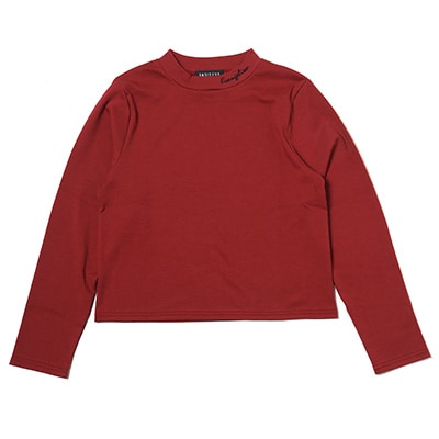 Evangelion Embroidery Cropped Cutsew (WINE)