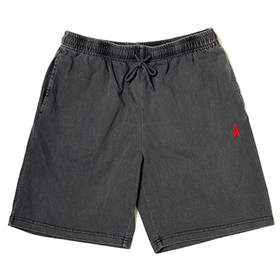 RADIO EVA ICON PIGMENT Shorts (CHARCOAL)