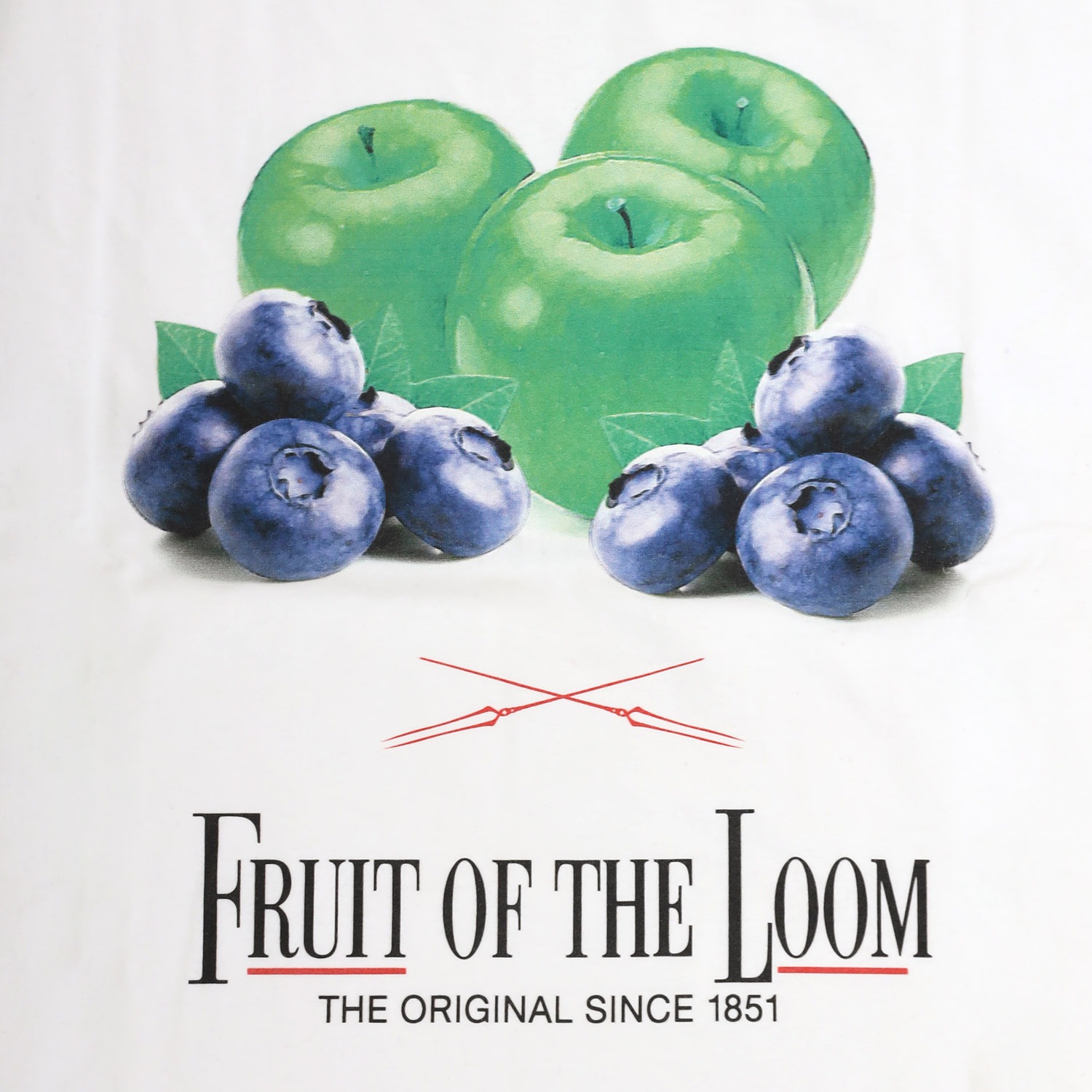 EVANGELION FRUITS T-Shirt by FRUIT OF THE LOOM（PURPLE（WHITE））