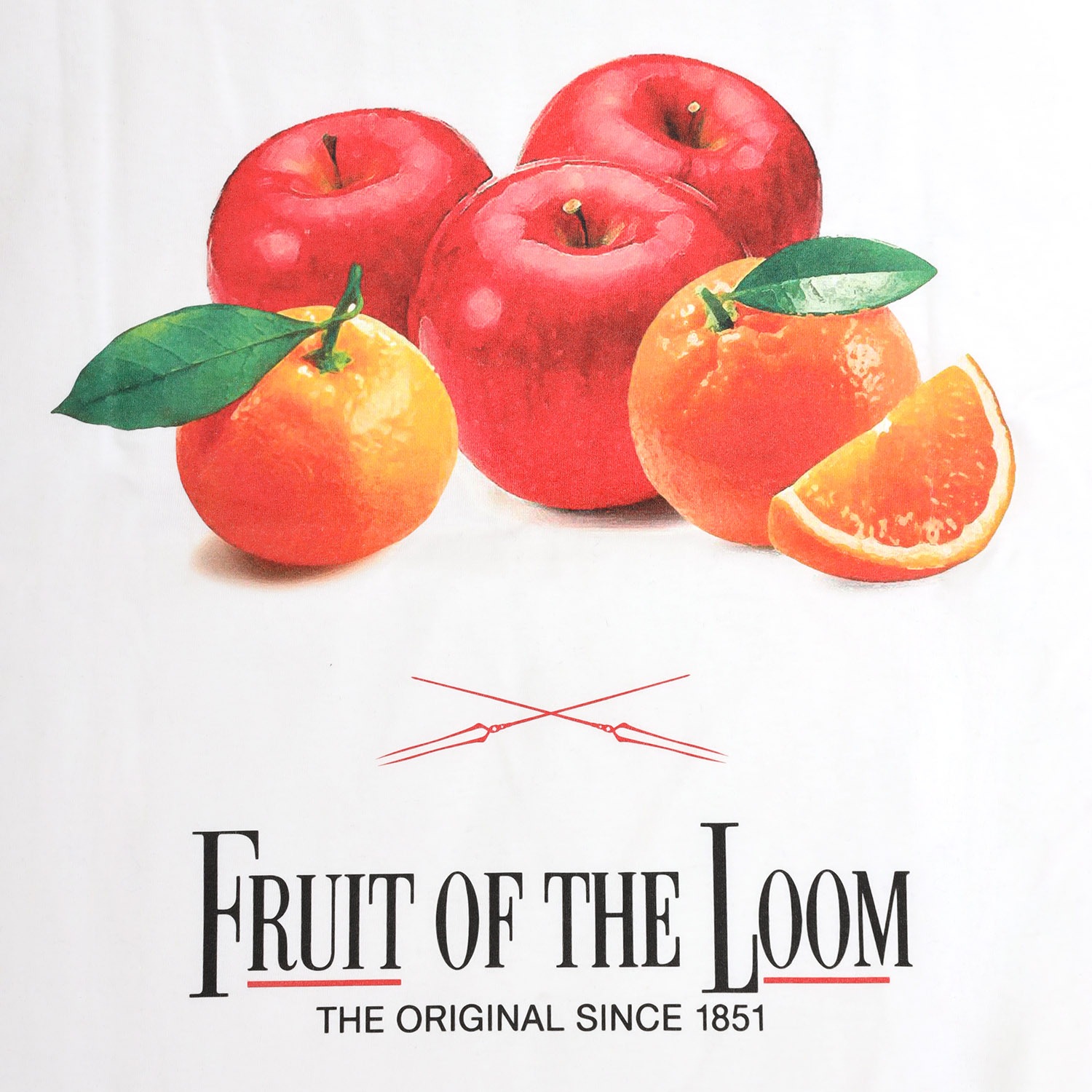 EVANGELION FRUITS T-Shirt by FRUIT OF THE LOOM（RED（WHITE））