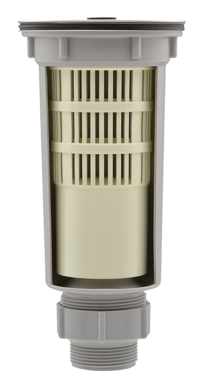 ήȥå  åȥǥ ¤ݤ狼 ( ƥꥢ ٶ ) DD00006