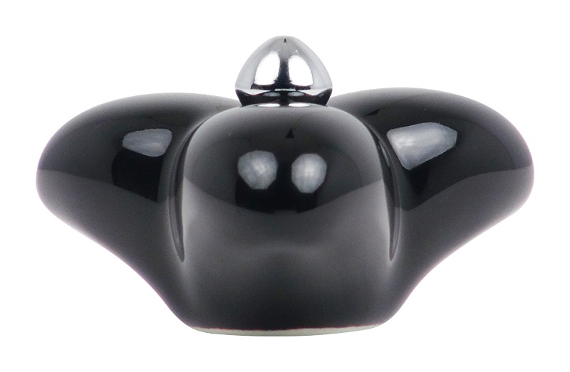 Ĥޤ ü ǻƤ   ֥å  PJ00010