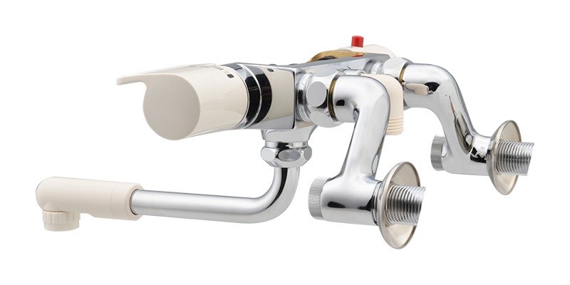 �ظ� ���򥫥åȥ�ǥ� ��¤�ݤ狼�� ( ����ƥꥢ �����⥹���åȥ��������� ) PJ00025