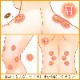 �ڤޤȤ��㤤��Ž���ؤ��ѥ����� �ʡ�10���åȡ�