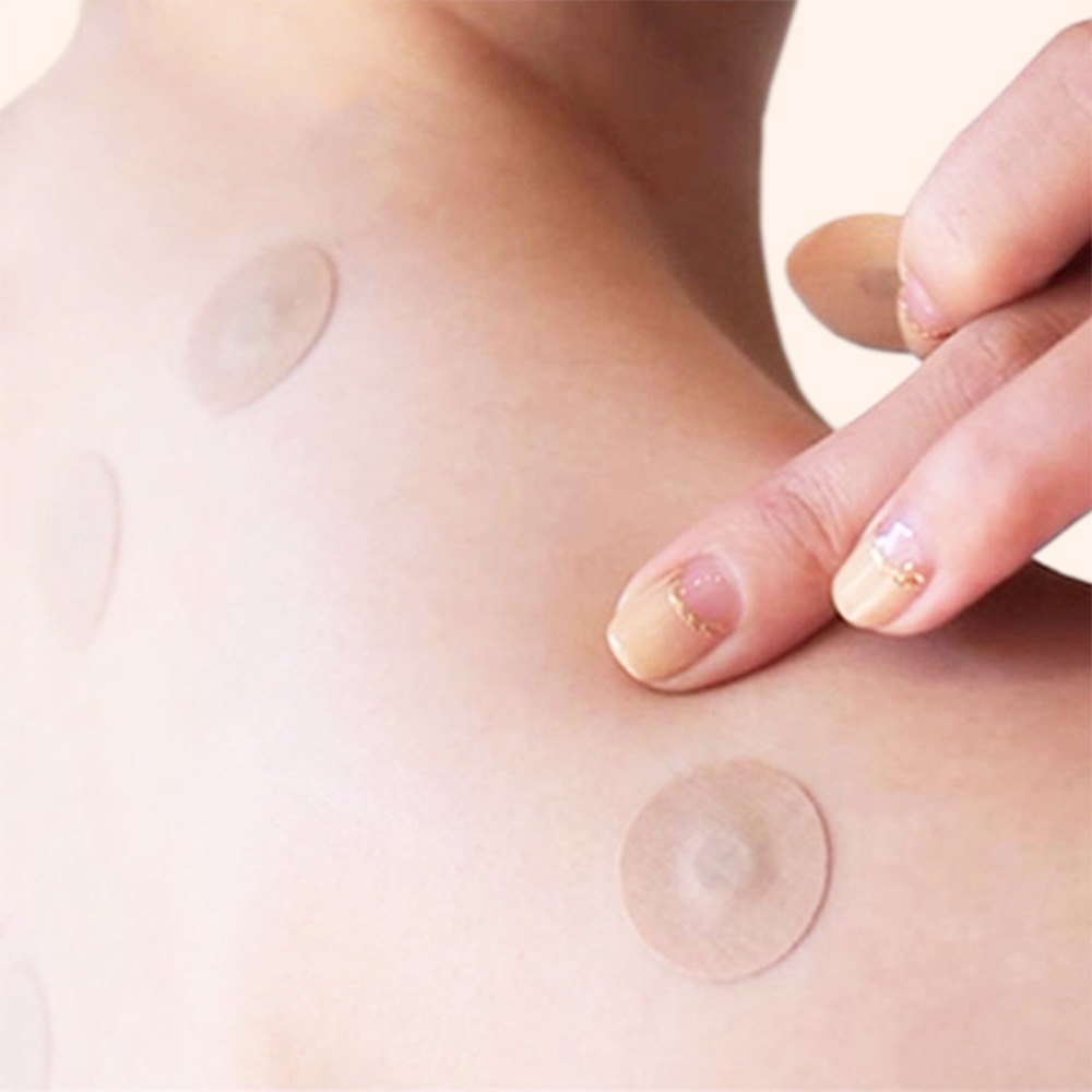 �����쥯�ȥ�����γ