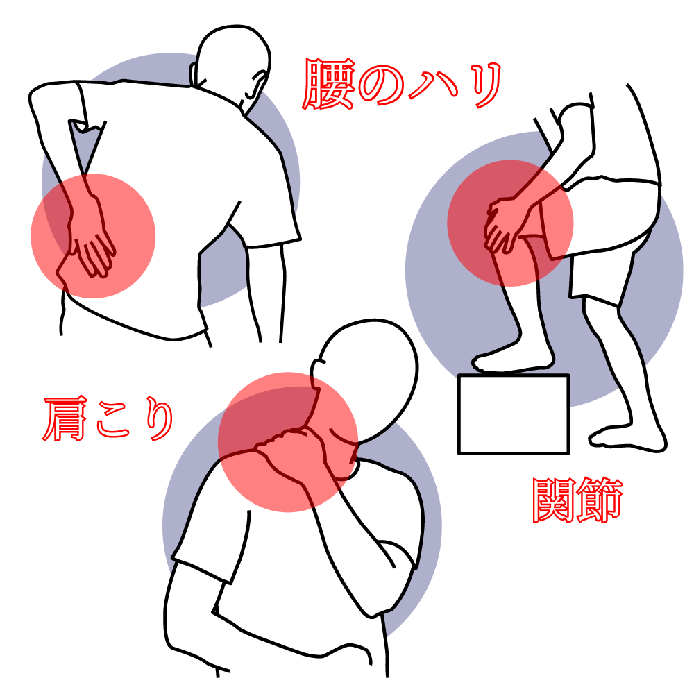 �����쥯�ȥ�����γ