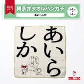 ¿ۥϥ󥫥̤餷2424cm