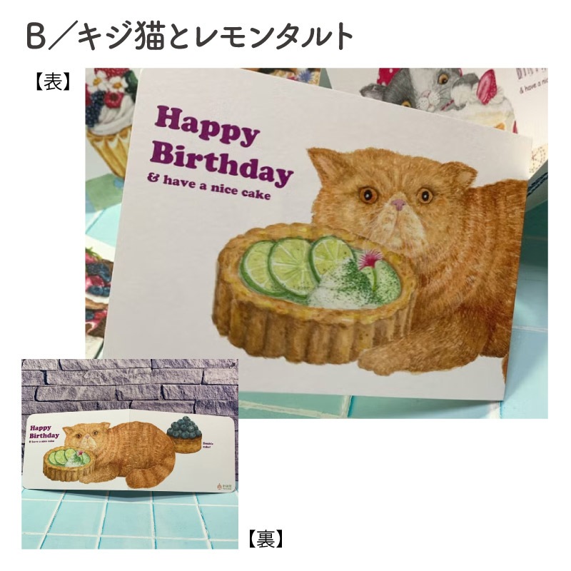 ���ݸ�ǭ�ٱ�ۡ����ѡӿ����塡�С����ǡ������ɣ�����