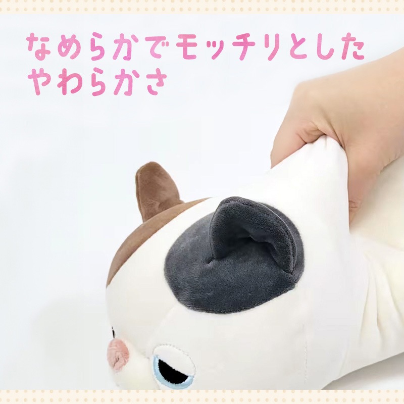 ݸǭٱۡҥץߥͤͤॢ˥ޥ륺ޤ顡M̥ߥͥΤ椺