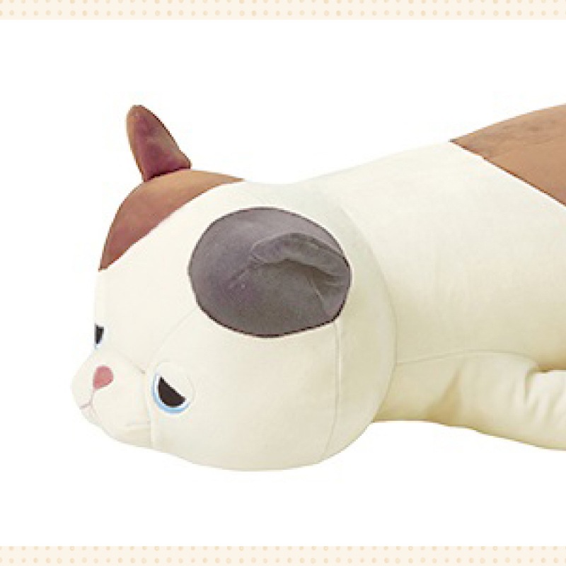 ねむねこページ ねむネコ」5周年記念特設サイト＆1年間限定ブログが4月1日開設