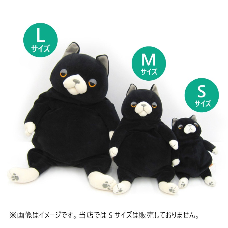 11_000000000897.jpg?1698825693