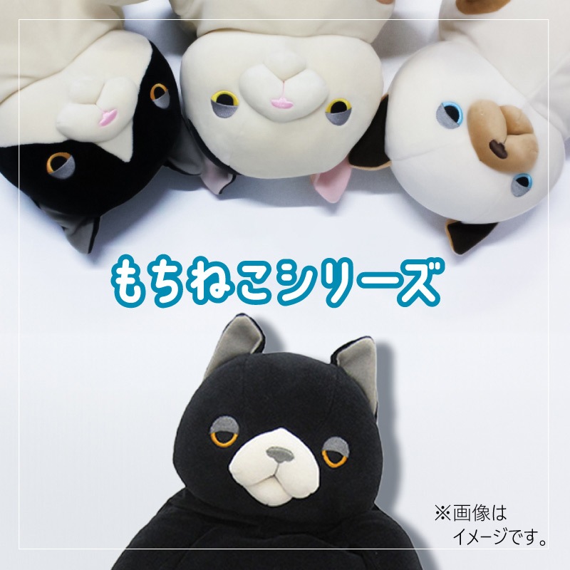 保護猫活動　Mサイズ 36枚入り　10袋セット マナーウェア ねこ用 猫用おむつ SSサイズ ( 40枚入 )/ マナー