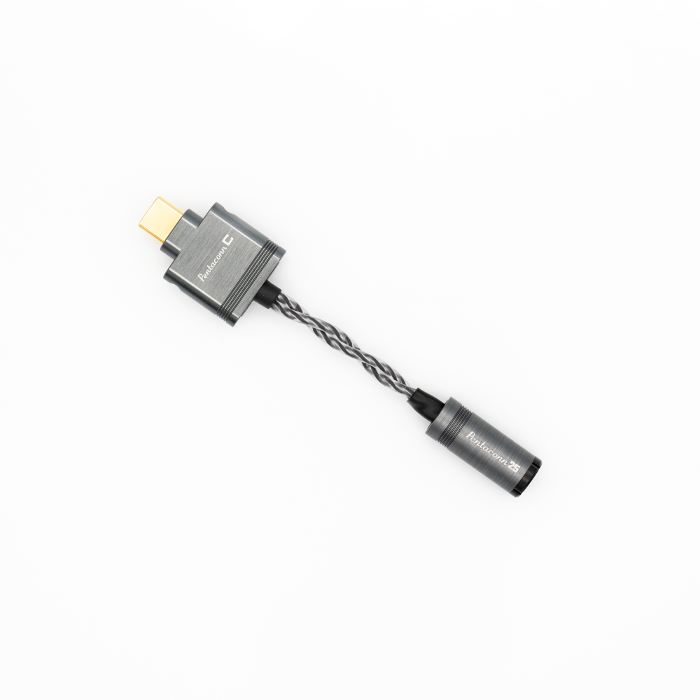 pentaconn 変換ケーブル Spadaシリーズ】Pentaconn C 【USB Type C 変換ケーブル