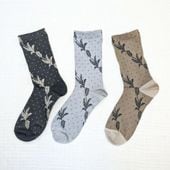 ��Petit Pas �ץƥ��� �������졼���ɥåȡ����롼��