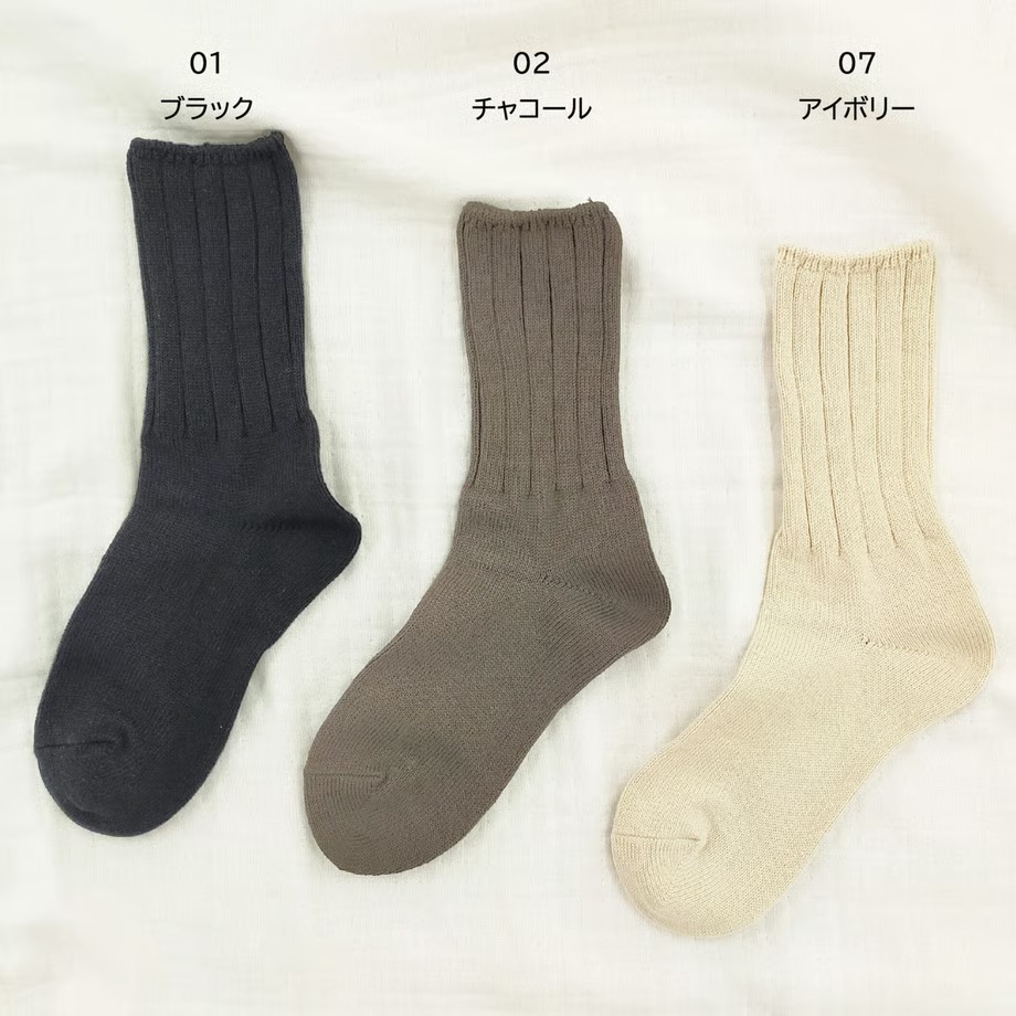 ���������Τ��Ĥ��� �������롼�桡�����ʡ���ե���������֥��å�����PEL724601