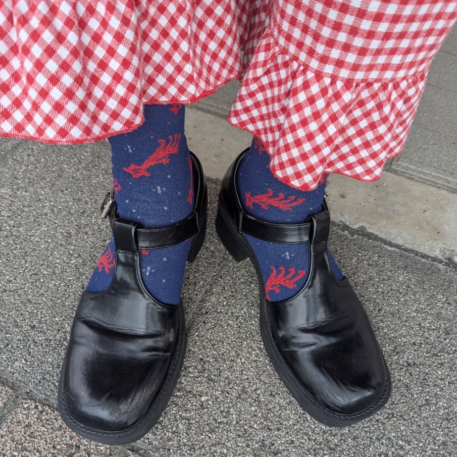 ­���Ǥ���Ĺ����DOLL ��������CUL754503