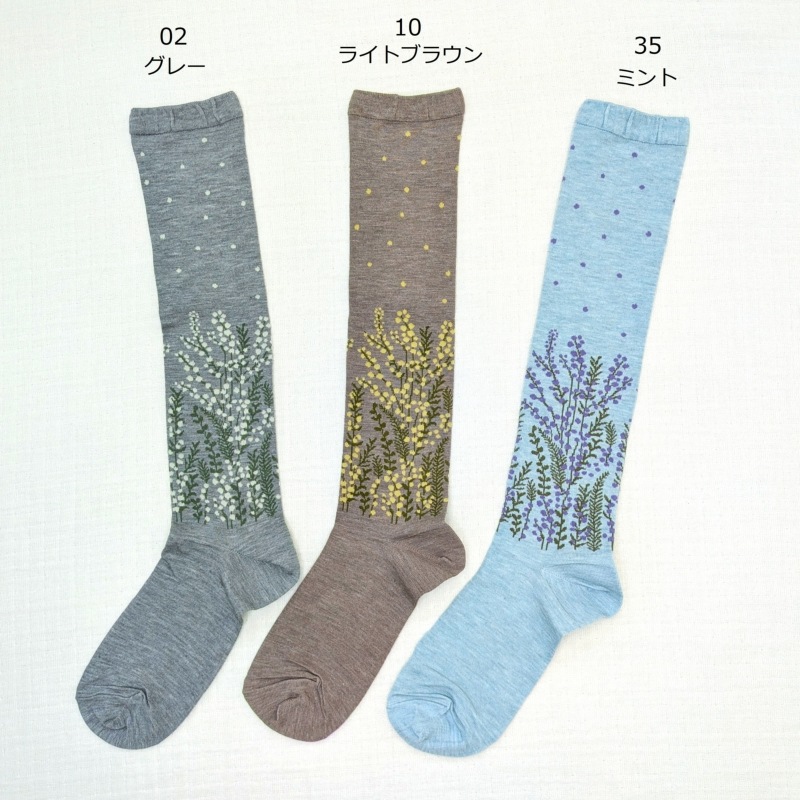 ��Petit Pas���ץƥ��ѡ�ץ��ե����ϥ����å���