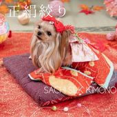 ペットの着物犬服の着物ー絞り正絹（シルク）小春日和