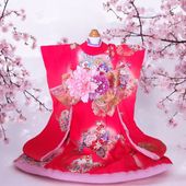 ペットの着物犬の着物紅蝶花大振袖お引きずり