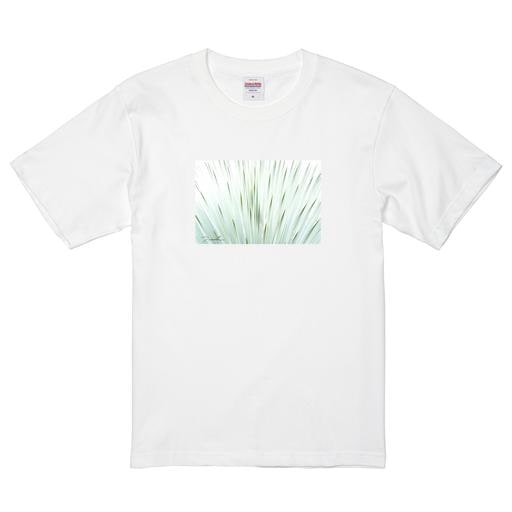 並木隆＃３ プレミアムコットンTシャツ