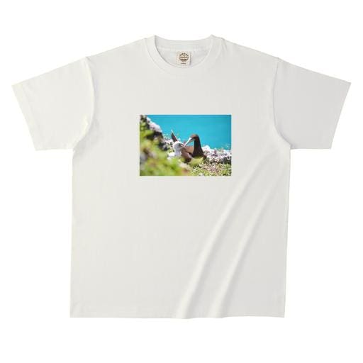 小堀 毅#2 オーガニックコットンTシャツ