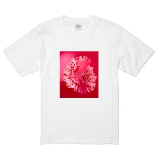 秋元茂＃１ プレミアムコットンTシャツ