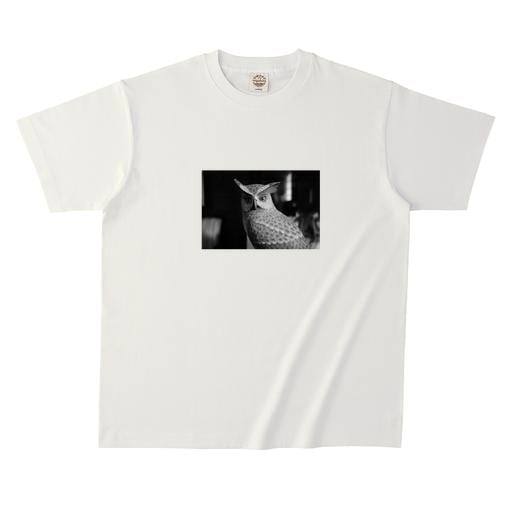 一休＃5  オーガニックコットンTシャツ