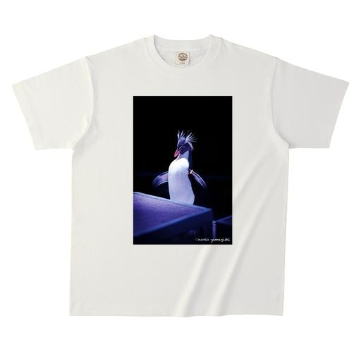 norio yamagishi AOAO＃6 オーガニックコットンTシャツ