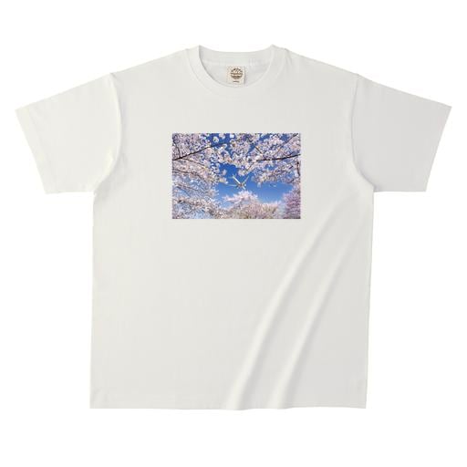 岡本 豊#４ オーガニックコットンTシャツ＜S~XXL＞