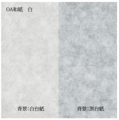 󥯥åȡ졼ץ󥿶ѣϣ»ø  100߸