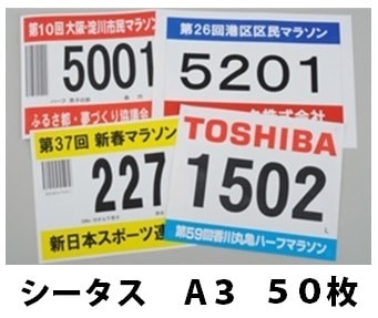 졼ץѥ  Կ åбʡˡ硡߸