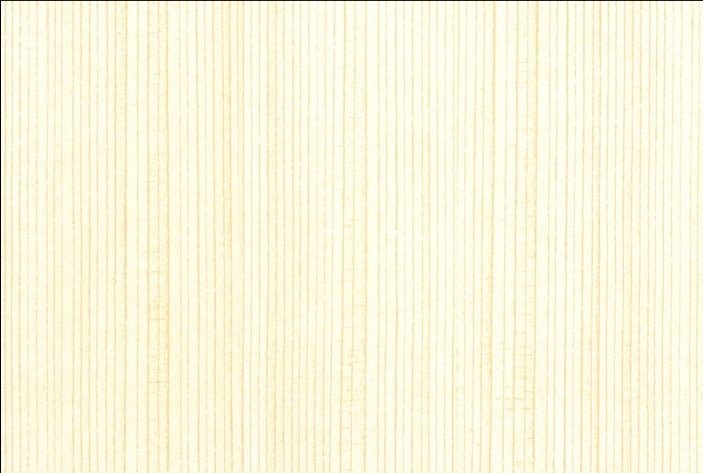 󥯥åȡ졼 ѻ ܲܡ     ̵ݥȤ