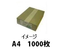 󥯥åȡ졼 »ʥ꡼࿧ ߥ꡼ƥ   1000᡼ľ