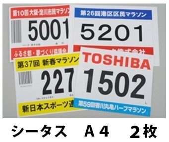 졼ץ󥿡ѥ  Կ åбʡ      ͭץ͹