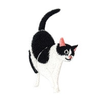 23412����åڥ�֤ͤ��ס����������������ξ��