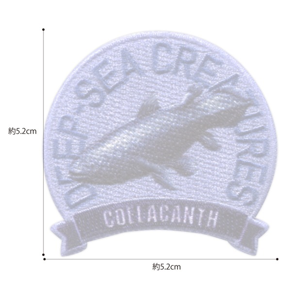 ZL08 �������󡦥�����ξ�ѥ�åڥ�<br>�ֳظ��ο޴�LIVE�׿�����ʪ �㥷���饫�󥹡�