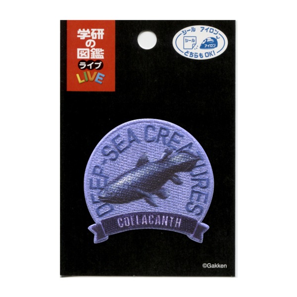 ZL08 �������󡦥�����ξ�ѥ�åڥ�<br>�ֳظ��ο޴�LIVE�׿�����ʪ �㥷���饫�󥹡�