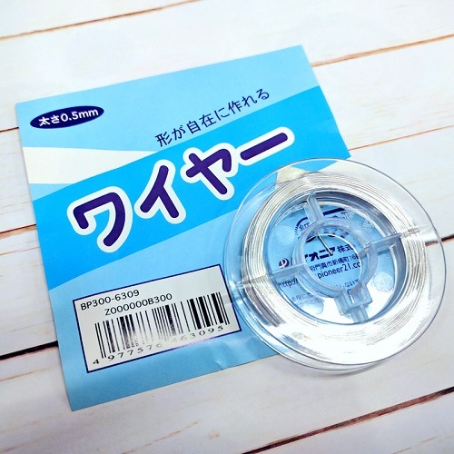 6309磻䡼10MϥɥᥤǺ