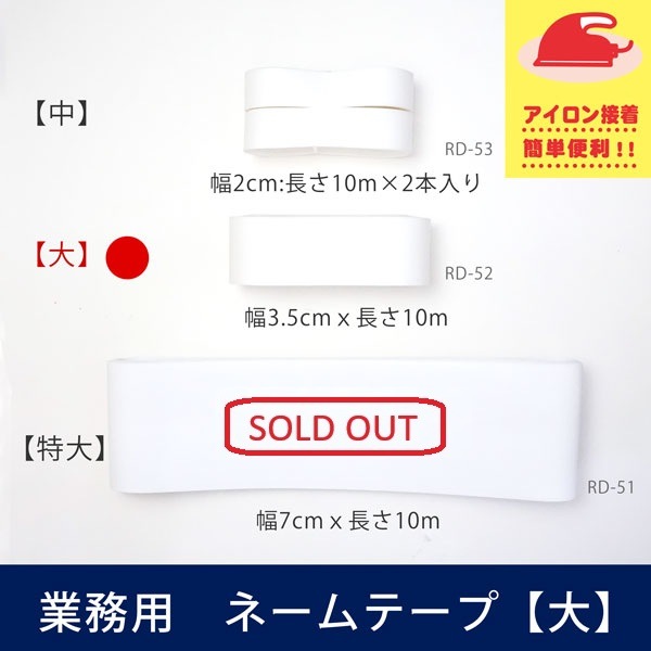 RD-52 ��̾���Ĥ��ѡ������ʥ��󥰴������͡���ơ��������3.5���x10m��<br>�ع�����������������