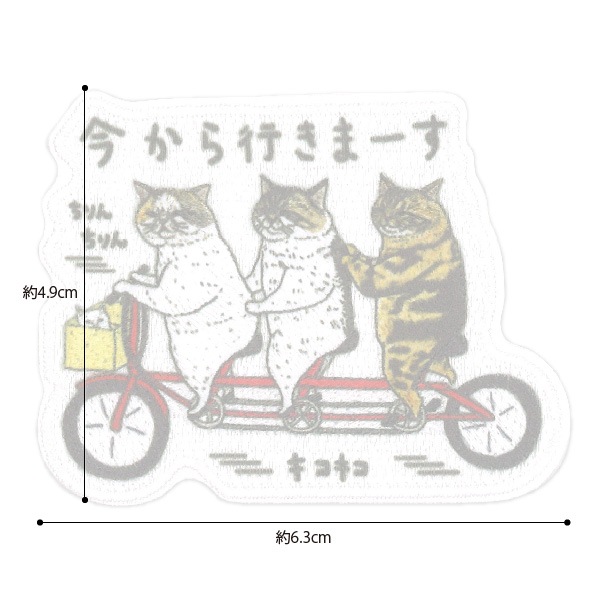 AIP07 �����ˤ��Ի׵Ĥ�ǭ�����ס��������󡦥�����ξ�ѥ�åڥ�