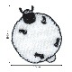 HS22֤ҤĤΥ硼ץåڥʥ㡼꡼ˡ<br>󡦥ξѥ