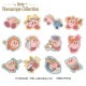 BAN119ΥӥKIRBY ۥס쥯 åڥ<br>¥꡼ʤդ¡<br>륢ξѥ